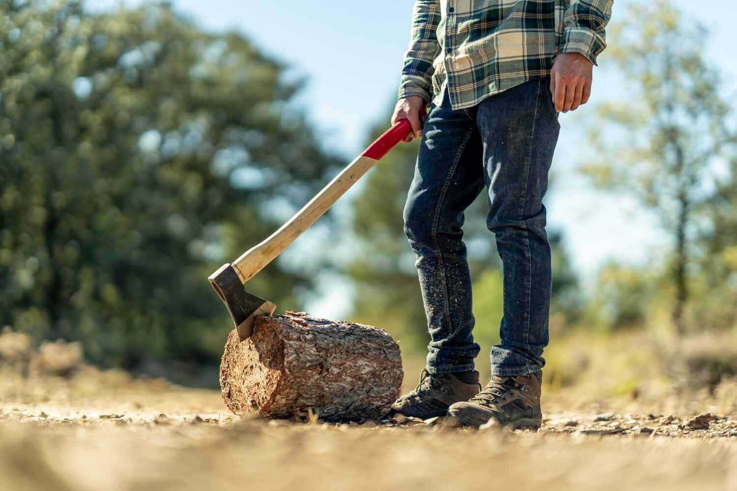 Best Tree Branch Trimming  in Yuipa, CA